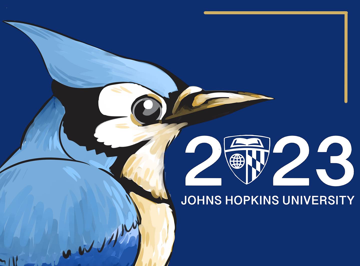 #JHU2023 Class Banner's Unveiled