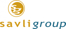 Savli Group Inc logo